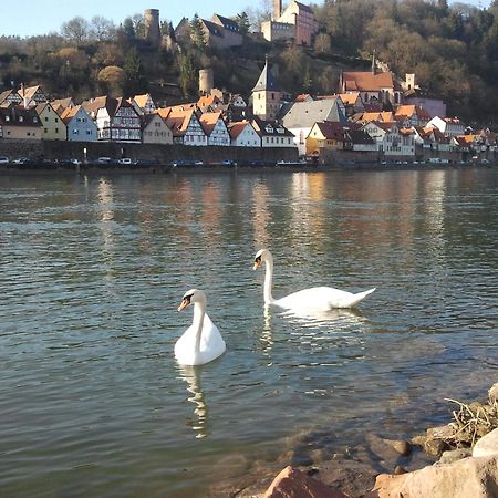 Romantisches Hirschhorn Am Neckar Εξωτερικό φωτογραφία