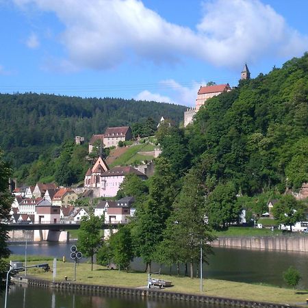 Romantisches Hirschhorn Am Neckar Εξωτερικό φωτογραφία