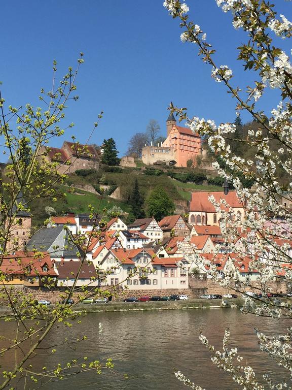 Romantisches Hirschhorn Am Neckar Εξωτερικό φωτογραφία